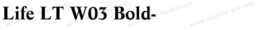 Life LT W03 Bold字体转换